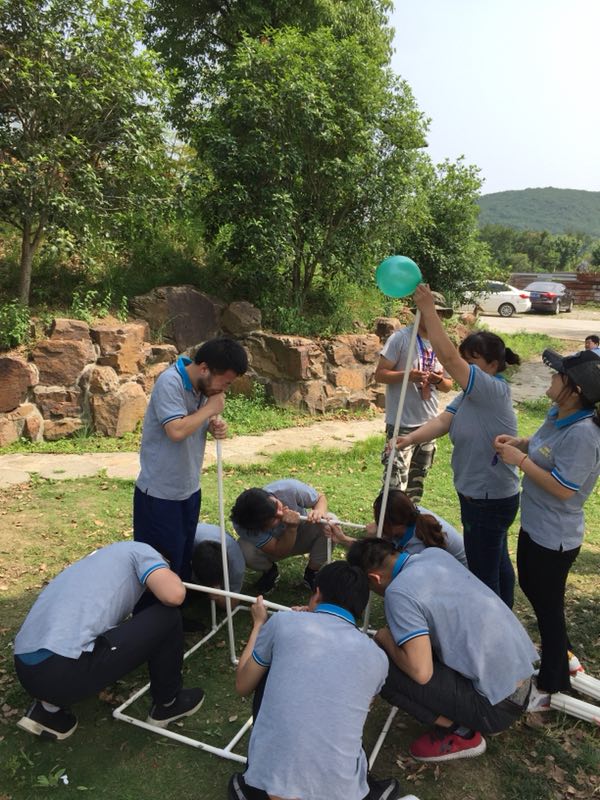 900281363765960556 900281363765960556