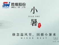 勝維股份 | 小暑至，盛夏始