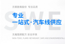 無錫勝維 | FLR9Y-B德標(biāo)汽車線整體解決方案專家